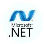 .net web development services