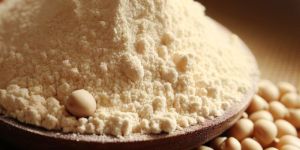 Soya Protein Isolate