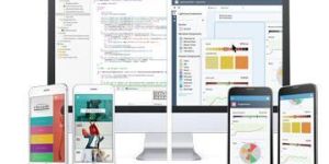 Web Development Service