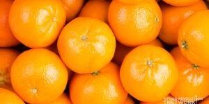 Fresh Orange
