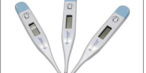 Portable Digital Thermometer