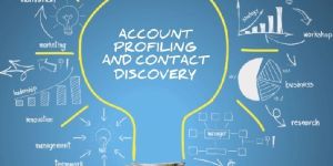 Account Profiling Services