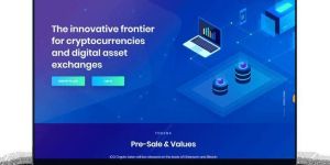 asp.net development services