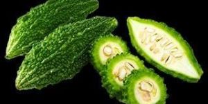 Fresh Bitter Gourd