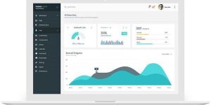 Search Engine Optimization Services