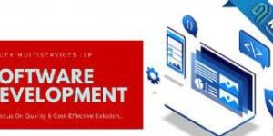 IT Application Development