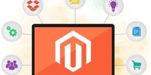 Magneto Development Services