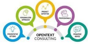 IT Consulting Services