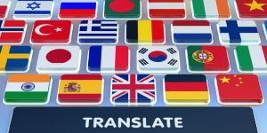 Software Localization Service