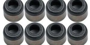 Santro Valve Stem Seal