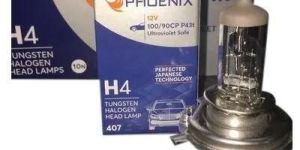 Phoenix Head Lamps