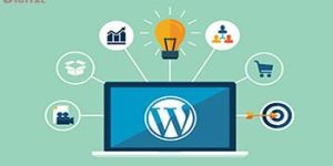 Wordpress Services