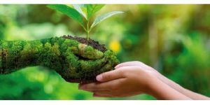 Iso 14001 Environmental Management System