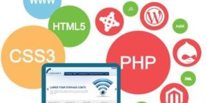 Code Igniter Service