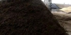 Button Mushroom Compost