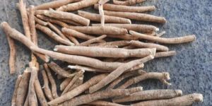 Organic Ashwagandha Root
