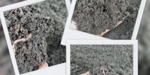 Organic Vermicompost Fertilizer