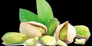 Pistachio