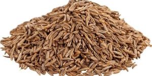 Cumin Seeds