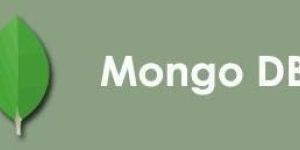MongoDB Certification Training Service