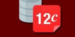 Oracle RAC Training Course