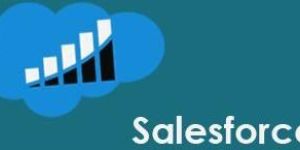Salesforce Certification Training Course