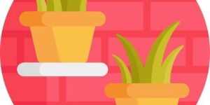 Vertical Gardens Greenwall Services