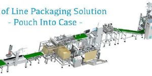End of Line Packaging Solution - Pouch Into Case
