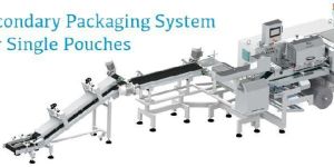 Secondary Packaging System for Making Bundle of Pouches