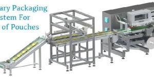 Secondary Packaging System for Strip of Pouches