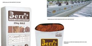 Hiigh Yield Coir Bags for US Greenhouse