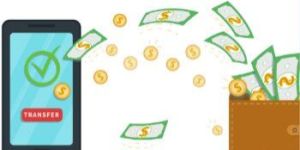 Digital Wallet Software Development Services