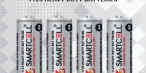Aa Batteries