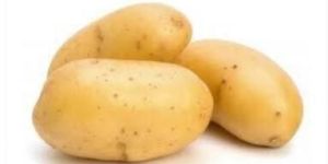 Fresh Potato