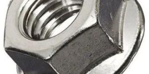 Hex Flange Nuts