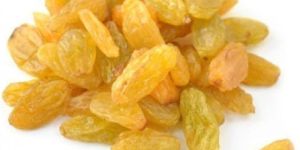 Yellow Raisins