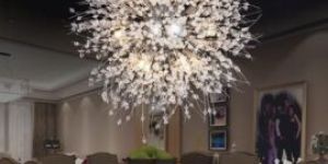 Vegetable Cleaning Tablets