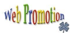 Website Promotion Services
