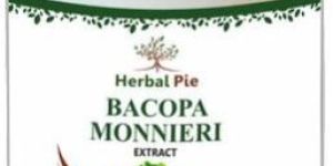 Bacopa Monnieri Extract Capsules