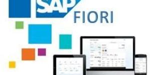 SAP Fiori Training Course