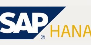 SAP HANA 2.0 Training Course