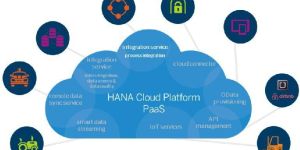 SAP S4 HANA Cloud Integration Training Course