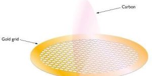 Carbon Films on Gold Grids