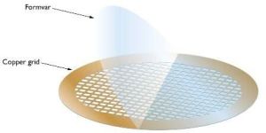 Formvar Films on Copper TEM Grids _ AGS138
