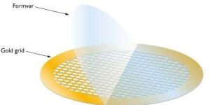 Formvar Films on Gold TEM Grids _ AGS138A