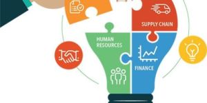 Enterprise Resource Planning Services