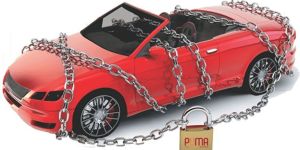 Puma the Vehicle Guard