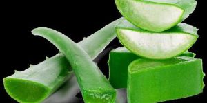 Aloevera