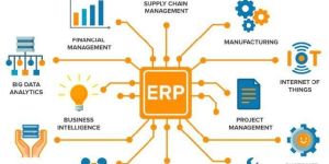 ERP Software Development Service
