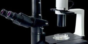 Inverted Microscope